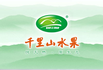 千里山水果品牌網(wǎng)站建設(shè)案例