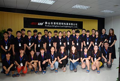 賽明燈飾外貿(mào)網(wǎng)站建設(shè)案例