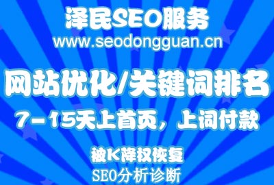 澤民SEO博客網(wǎng)站建設(shè)案例